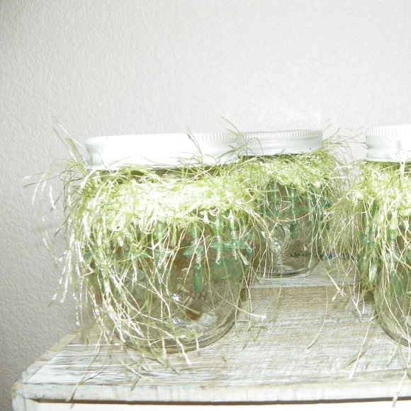 4 Wedding Party Table Decor Favor Orange Glass - Picture 12 of 13